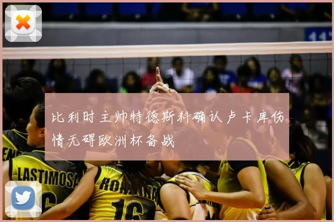 比利时主帅特德斯科确认卢卡库伤情无碍欧洲杯备战