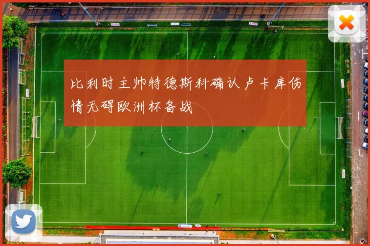 比利时主帅特德斯科确认卢卡库伤情无碍欧洲杯备战