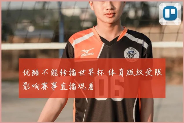优酷不能转播世界杯 体育版权受限影响赛事直播观看